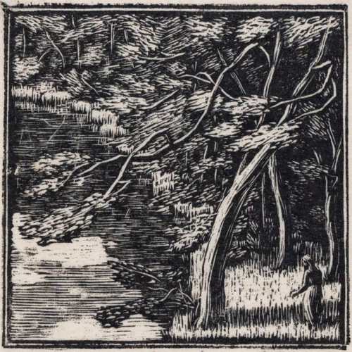 Hemlokk : Whispers from the Mire